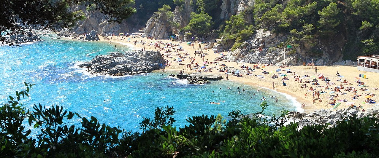 How-to-create-success-with-my-thoughts-new-beach-2