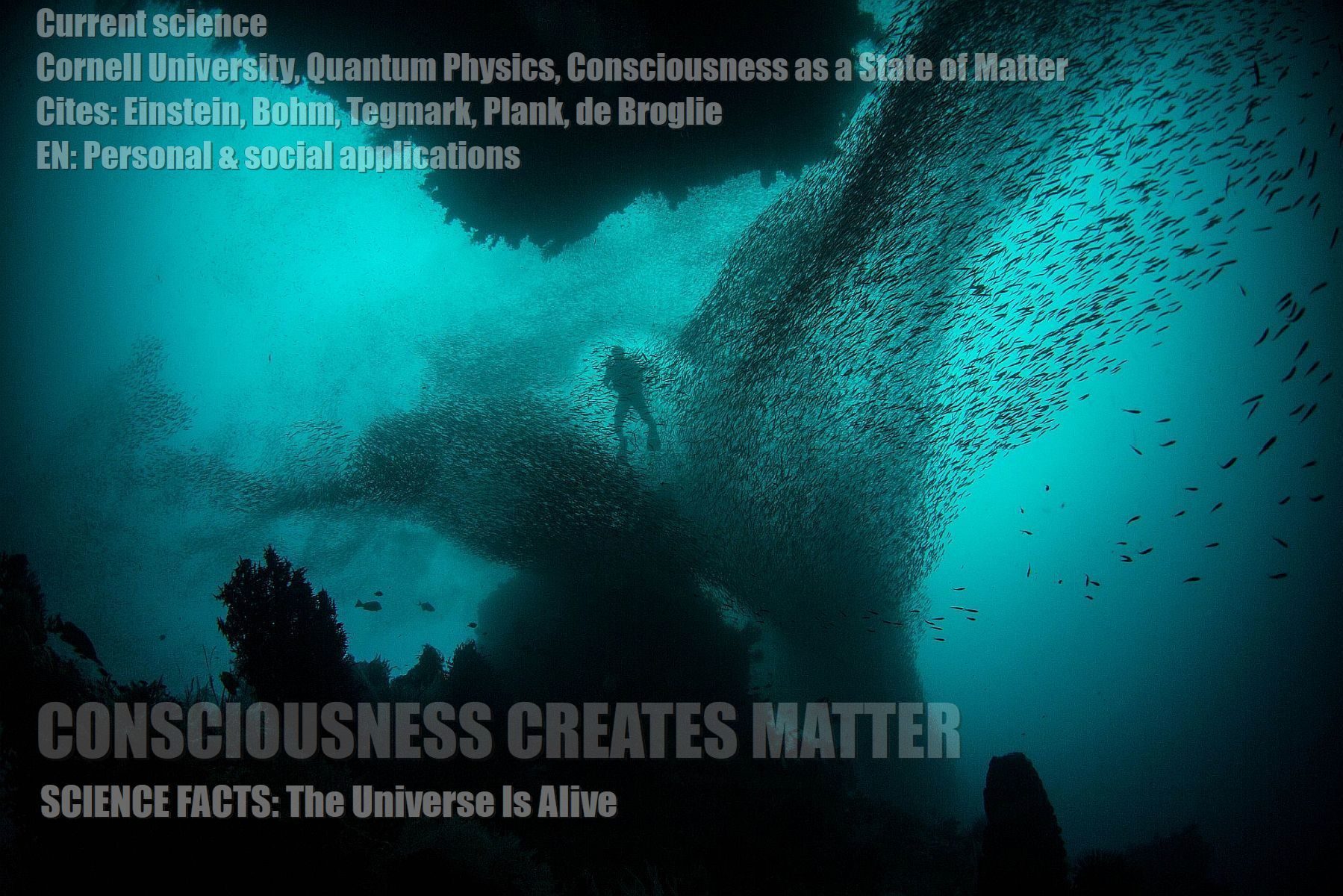CONSCIOUSNESS CREATES REALITY Thoughts Create Matter