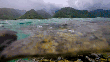 Hawaiian Paradise real estate video