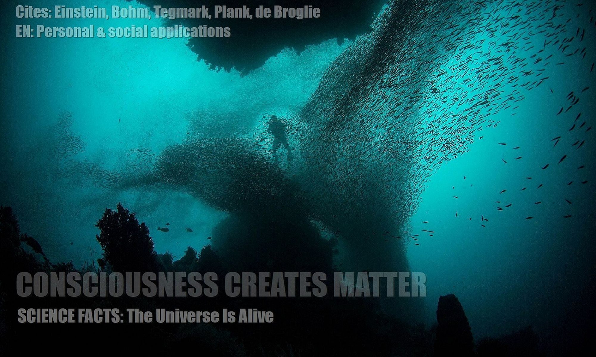 Dothoughtscreatematterdoesconsciousnesscreatesmatterreality
