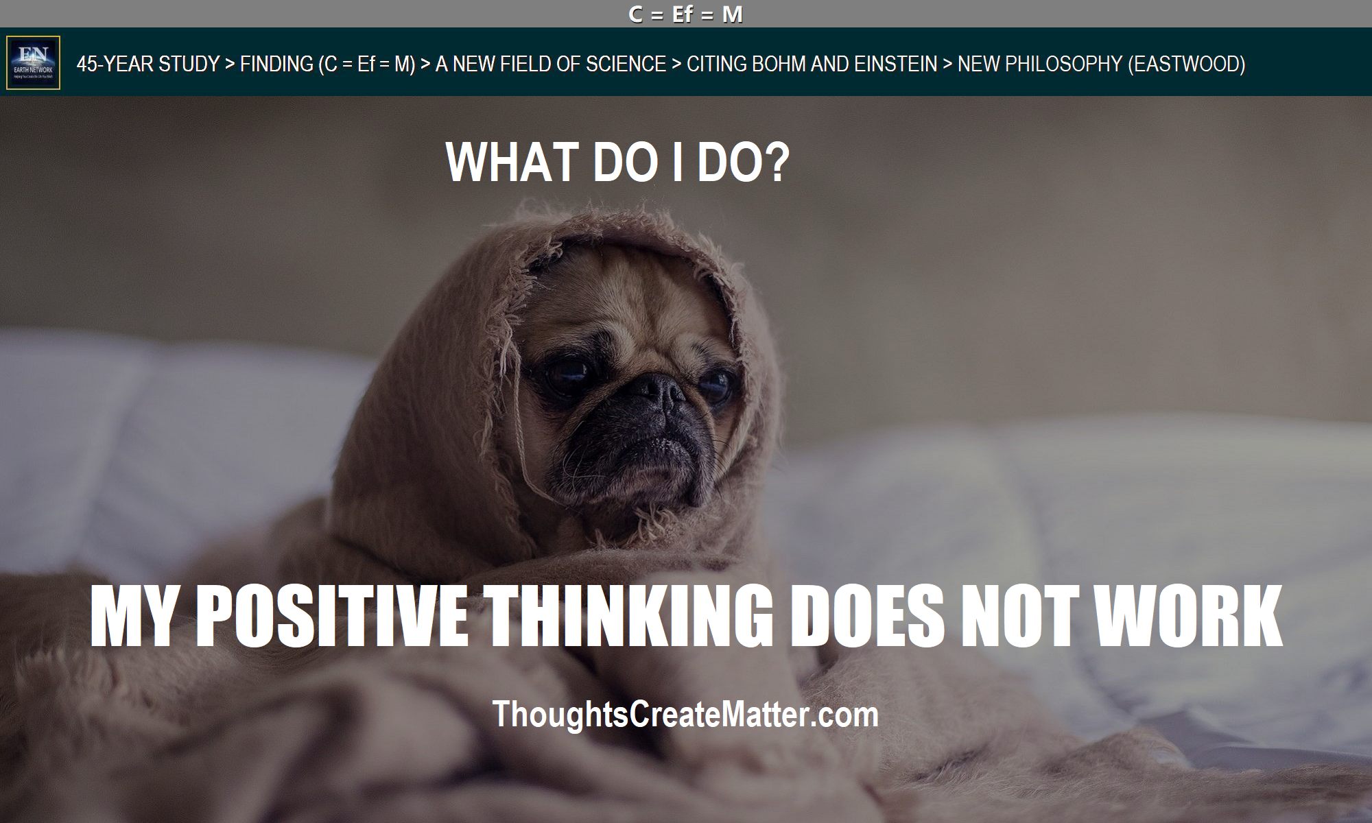 Sad dog suggests positive-thinking-doesnt-work-no-results-whats-the-solution