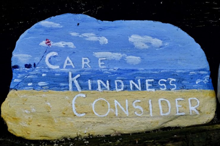 consciousness is kindness and reality