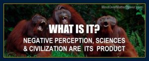Is Universe Hologram Illusion Projection Imagining Created by Mind brain