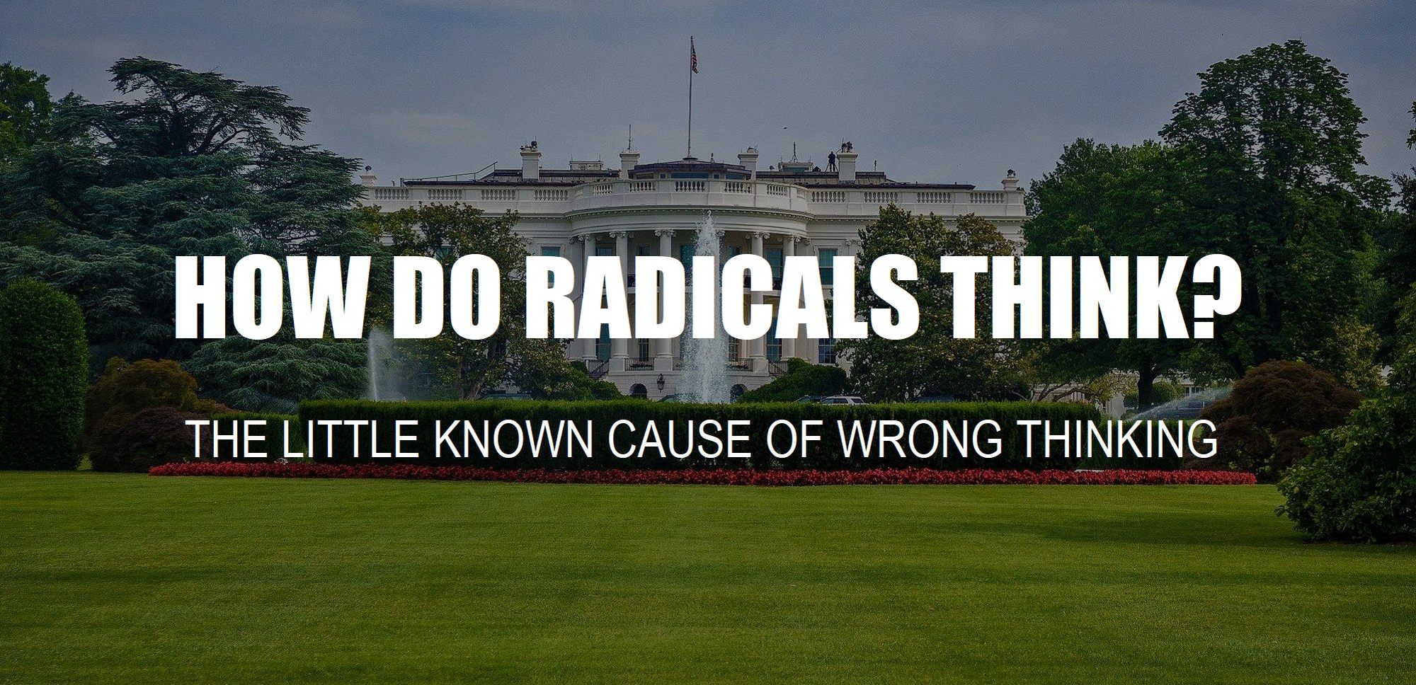 Capitol depicts problem and question how-do-radicals-think-what-is-the-cause-of-far-right-domestic-us-terrorism-attacks