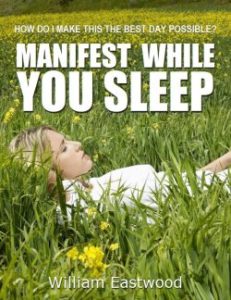 Manifest while you sleep to attract money book and ebook best in 2022 direct from manufacturer