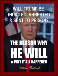 Trump will be Indicted, Arrested and Sent to Jail and then Prison book