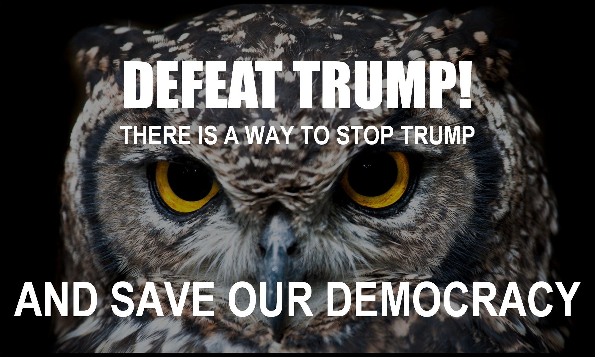 how-do-we-stop-trump-to-save-our-democracy-country-arrest-convict-for-criminal-conspiracy-indict-mark-meadows