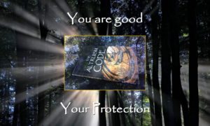 Altruism code protection
