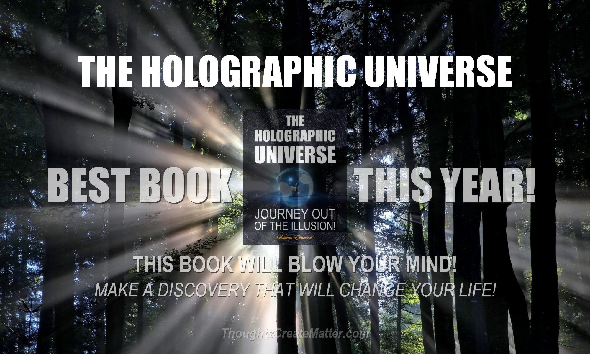 The holographic universe - journey out of the illusion
