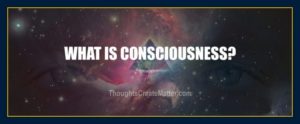 What is consciousness definition nature meaning description science theory