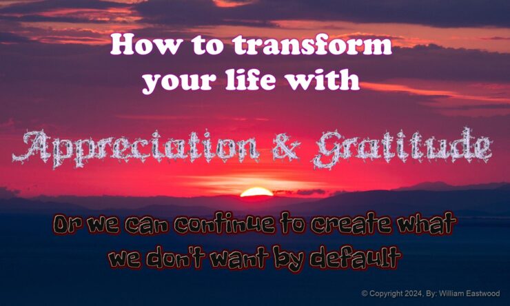 Appreciation gratitude International Philosophy