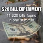 20 dollar bill manifesting experiment