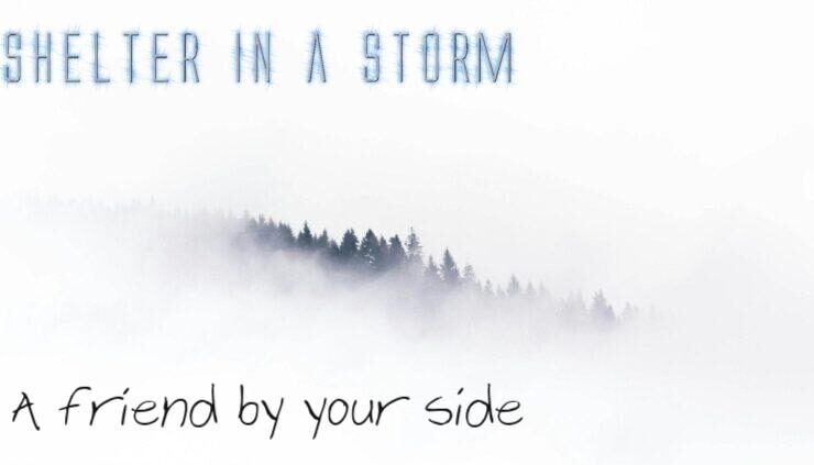 A protective line of trees in a blizzard serving as an image of protection from the storm of physicalism on which is written, "SHELTER IN A STORM: A Friend by your side"