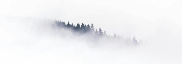 Tree line or mountain in blizzard shelter in a storm